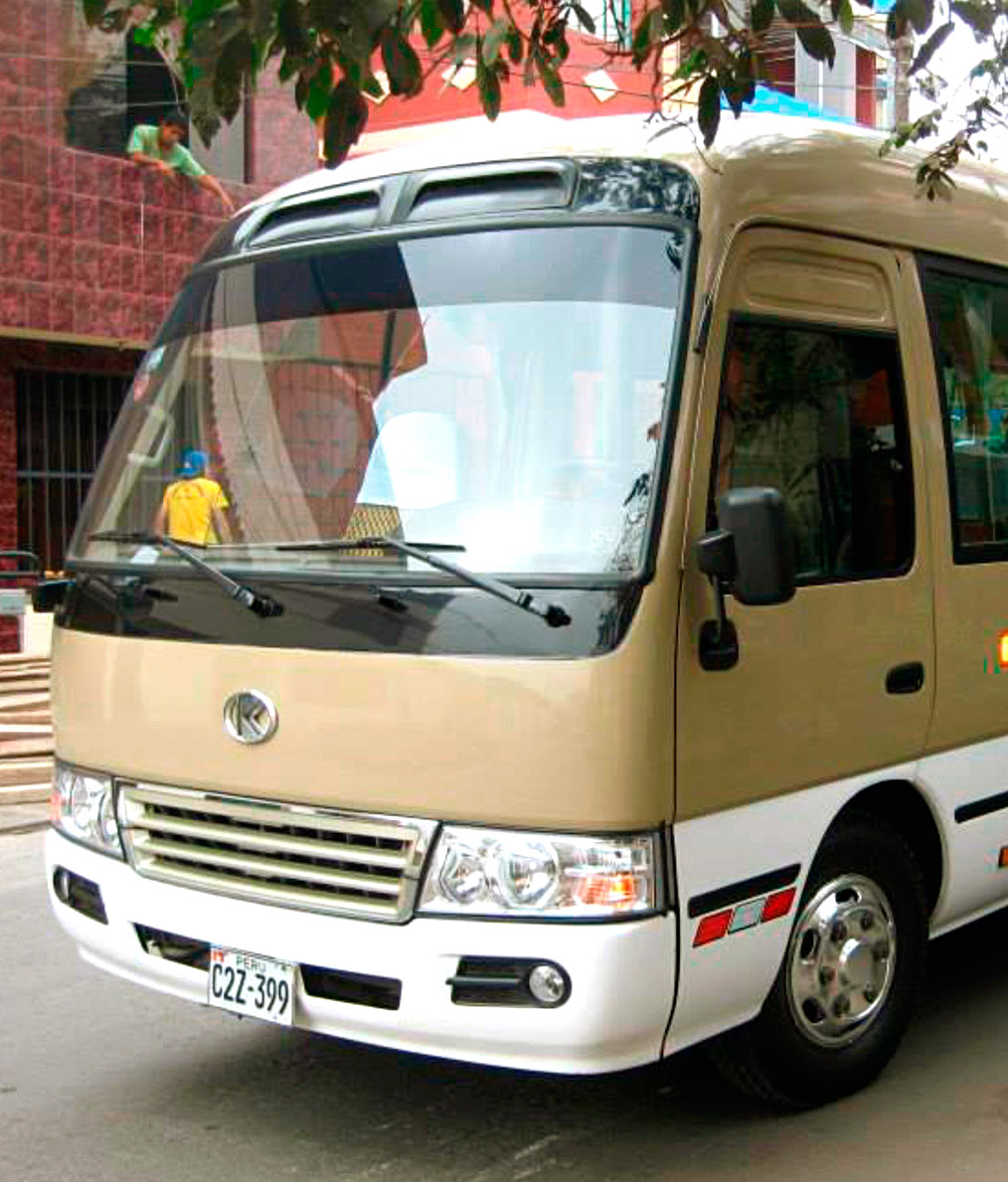 Minibus Marrón